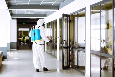 professionally disinfecting an office