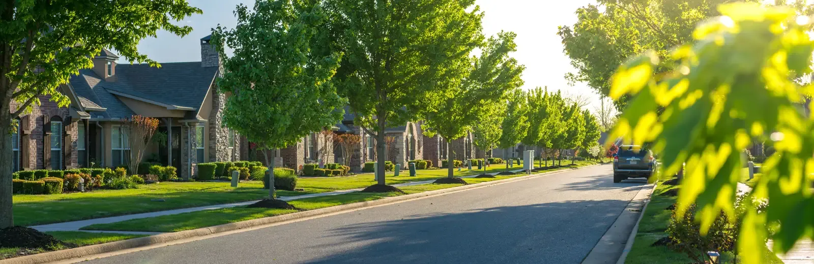 nice street with nice houses