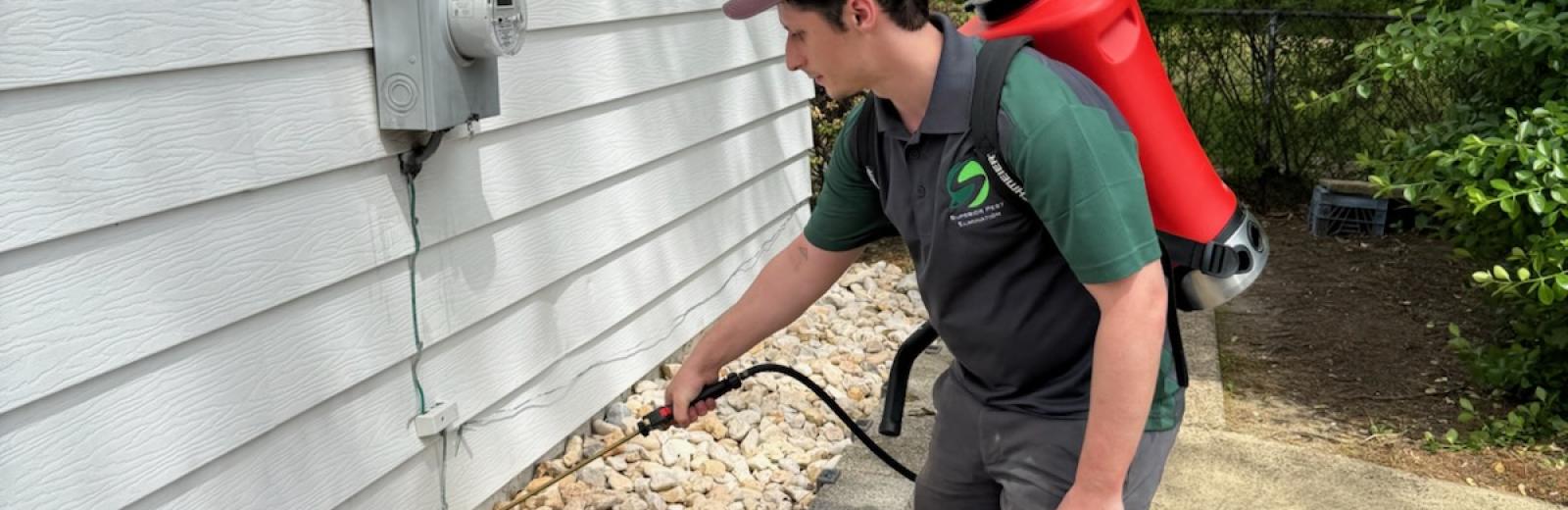 exterminator spraying sides of house