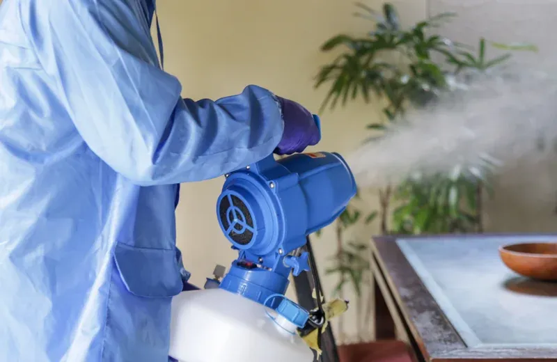 disinfecting home with mist