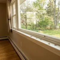 window termite swarmers