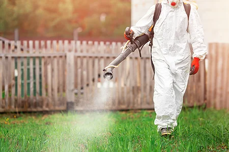 fogging yard mosquito control