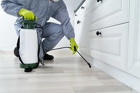 pest technician inspecting home