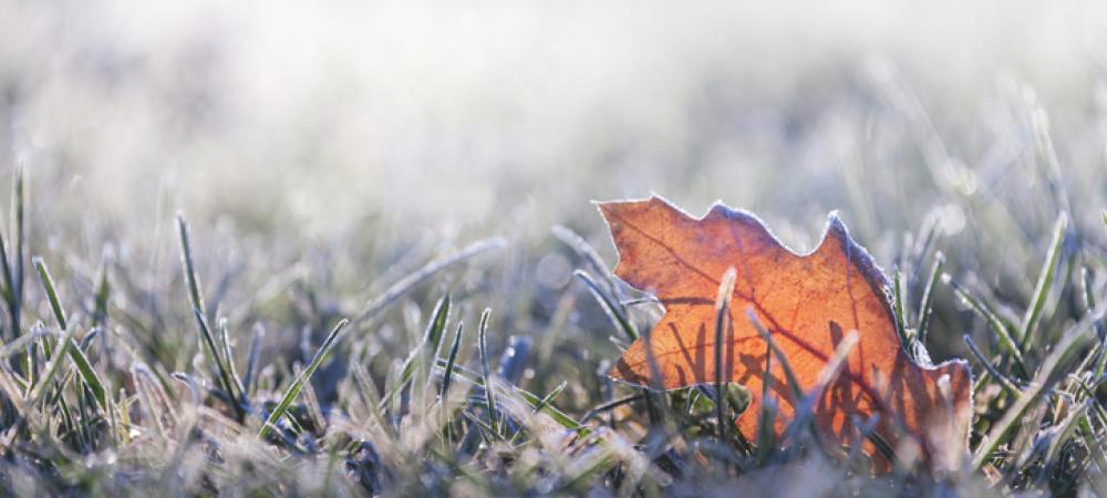 Winter